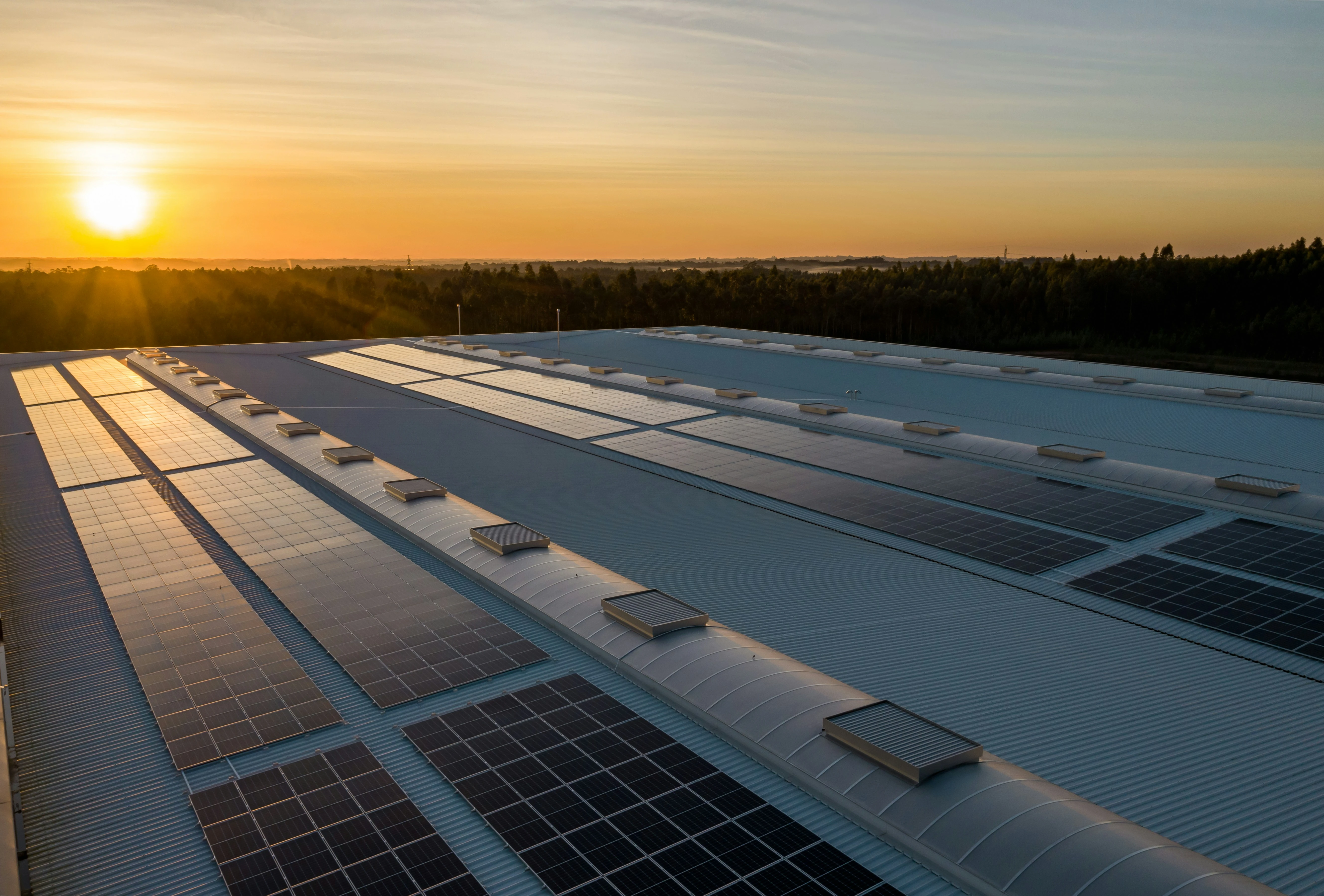 Paneles solares en una instalación fotovoltaica